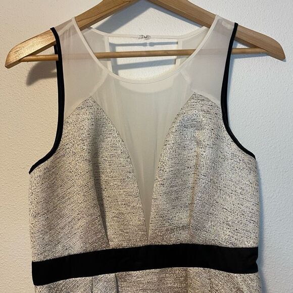 BCBGeneration Aubry Sheer V-Neck Shimmery Fit & Flare Mini Dress Size 8 - Picture 3 of 10